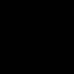 Meet your Posher, Andre